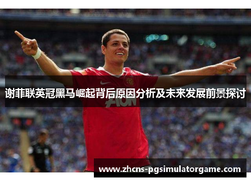 谢菲联英冠黑马崛起背后原因分析及未来发展前景探讨